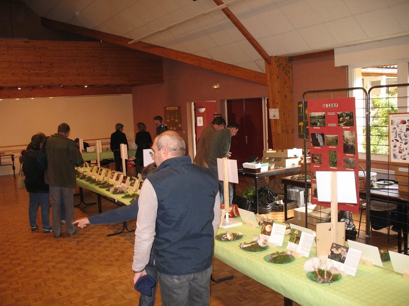 2009 10 Expo champignons de Clairefontaine 20